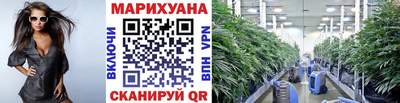 Купить наркотик Струнино Бошки Шишки Меф Cocaine Alpha-PVP ГАШ