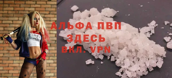 стаф Абинск