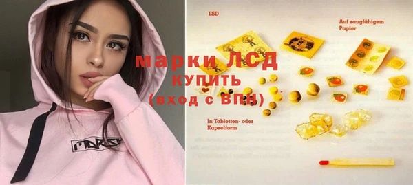 стаф Абинск