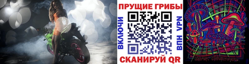 купить наркотики цена  Струнино  Псилоцибиновые грибы MAGIC MUSHROOMS 